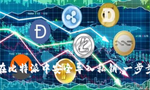 如何在比特派中安全导入私钥：一步步指南