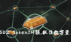 深度剖析：SNS SDZ TokenIM领，抓住数字资产新时代