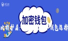 比特护盾：安全无忧的冷
