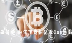 全面解析：如何下载和使