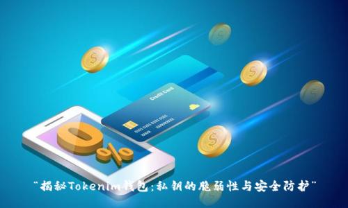 “揭秘Tokenim钱包：私钥的脆弱性与安全防护”