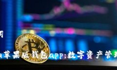 及关键词Tokenim苹果版钱包