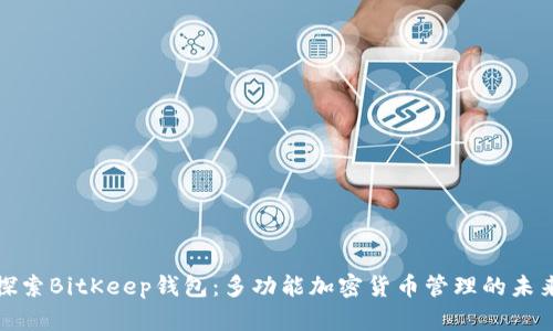 探索BitKeep钱包：多功能加密货币管理的未来