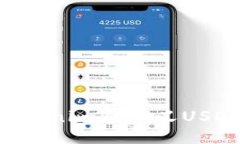 如何使用Tokenim自定义USD