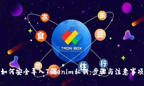 如何安全导入Tokenim私钥：步骤与注意事项