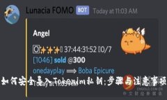如何安全导入Tokenim私钥：