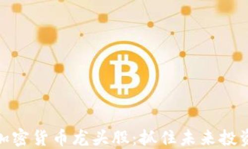 
数字加密货币龙头股：抓住未来投资机遇