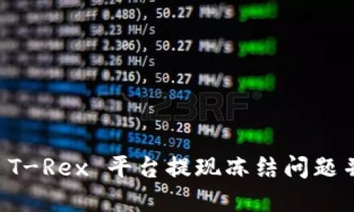 如何应对 T-Rex 平台提现冻结问题并顺利解决