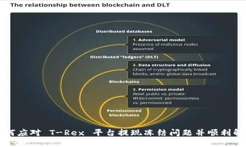 如何应对 T-Rex 平台提现冻结问题并顺利解决