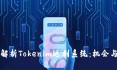 深入解析Tokenim返利系统：