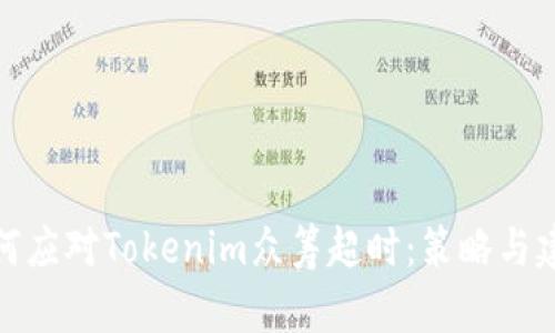 如何应对Tokenim众筹超时：策略与建议
