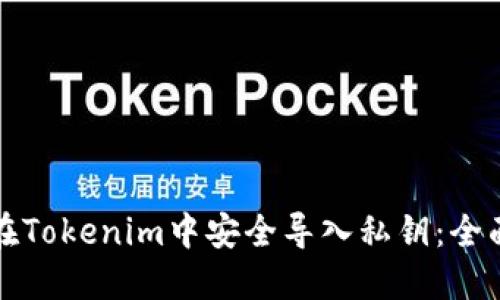 如何在Tokenim中安全导入私钥：全面指南
