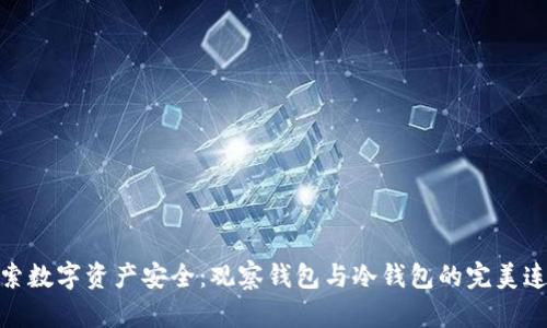 探索数字资产安全：观察钱包与冷钱包的完美连接