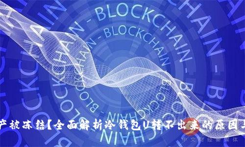 冷钱包资产被冻结？全面解析冷钱包U转不出来的原因与解决方法