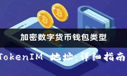 如何查询 TokenIM 地址：详细指南与注意事项