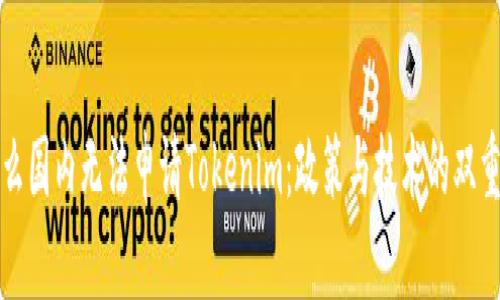 为什么国内无法申请Tokenim：政策与技术的双重阻碍