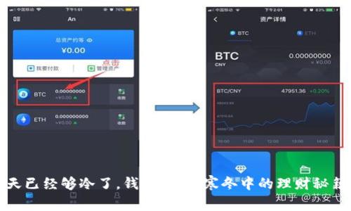 天已经够冷了，钱包更冷：寒冬中的理财秘籍