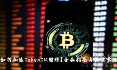 如何加速TokenIM转账？全面