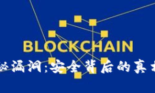 冷钱包的隐秘漏洞：安全背后的真相与实用指南