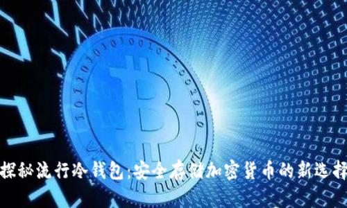 探秘流行冷钱包：安全存储加密货币的新选择