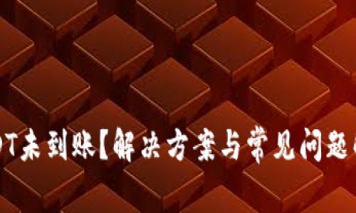 USDT未到账？解决方案与常见问题解析