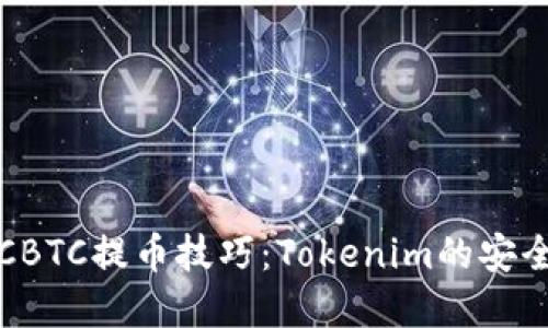 掌握OTCBTC提币技巧：Tokenim的安全与便捷