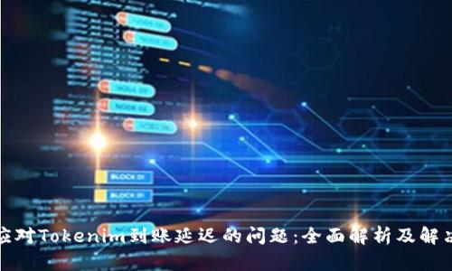 如何应对Tokenim到账延迟的问题：全面解析及解决方案