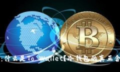深入探讨：什么是To Wallet？冷钱包的真正含义与