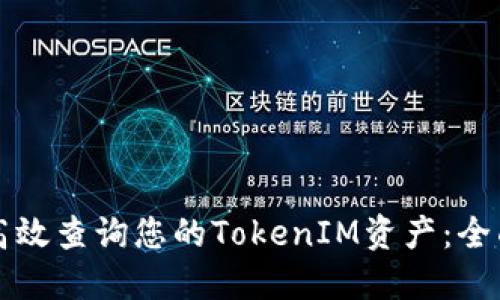 如何高效查询您的TokenIM资产：全面指南