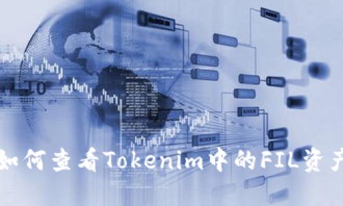 如何查看Tokenim中的FIL资产