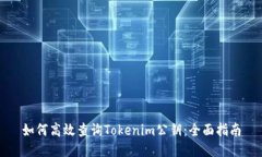 如何高效查询Tokenim公钥：