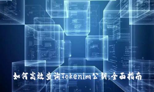 如何高效查询Tokenim公钥:全面指南