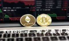 全面解析 Tokenim ：用户教